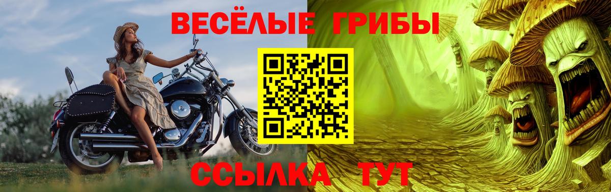 Обь  Галлюциногенные грибы прущие грибы  Вход с VPN 