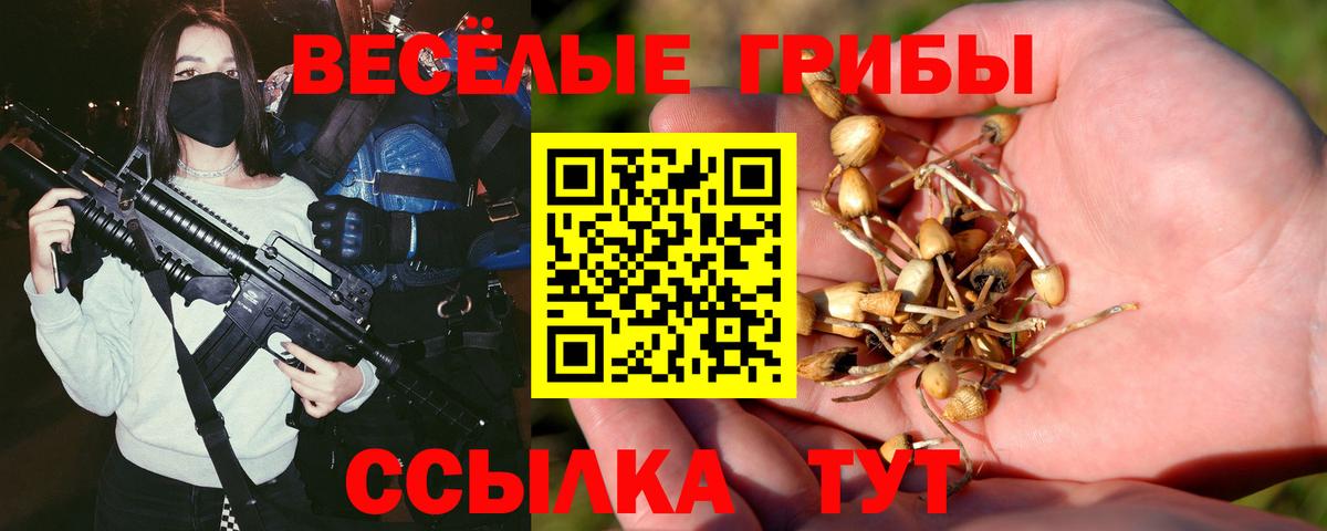 Галлюциногенные грибы Psilocybine cubensis Обь